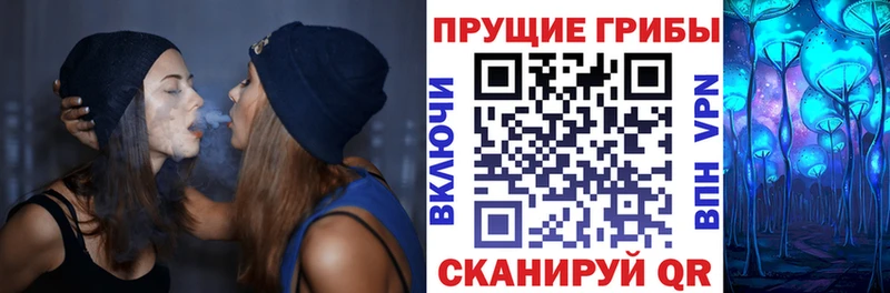 Псилоцибиновые грибы MAGIC MUSHROOMS  наркотики  Навашино 